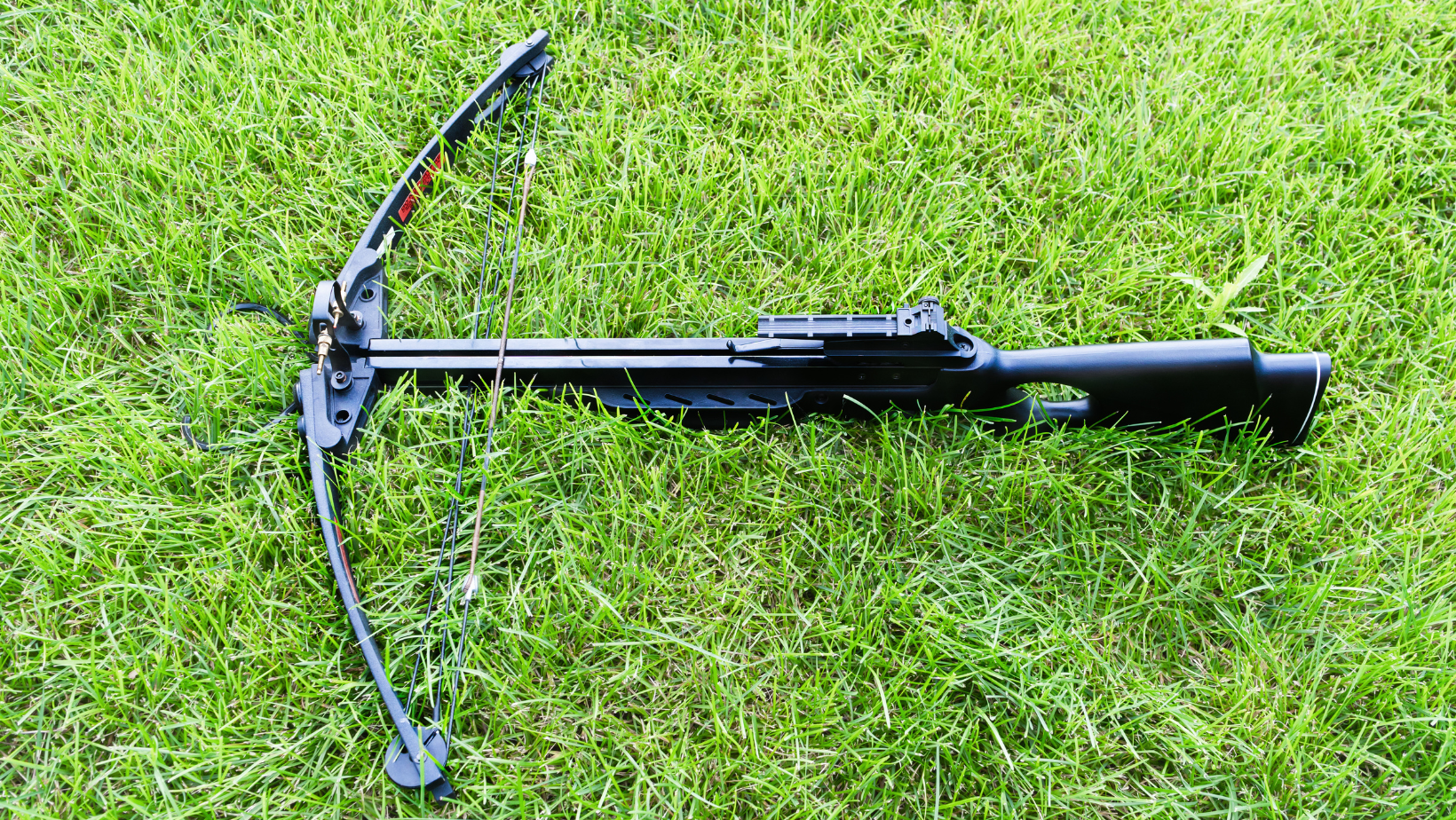 How To Maintain And Care For Your Crossbow